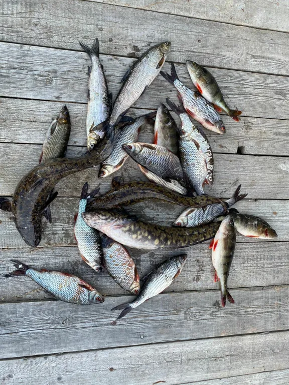 Дом на берегу озера