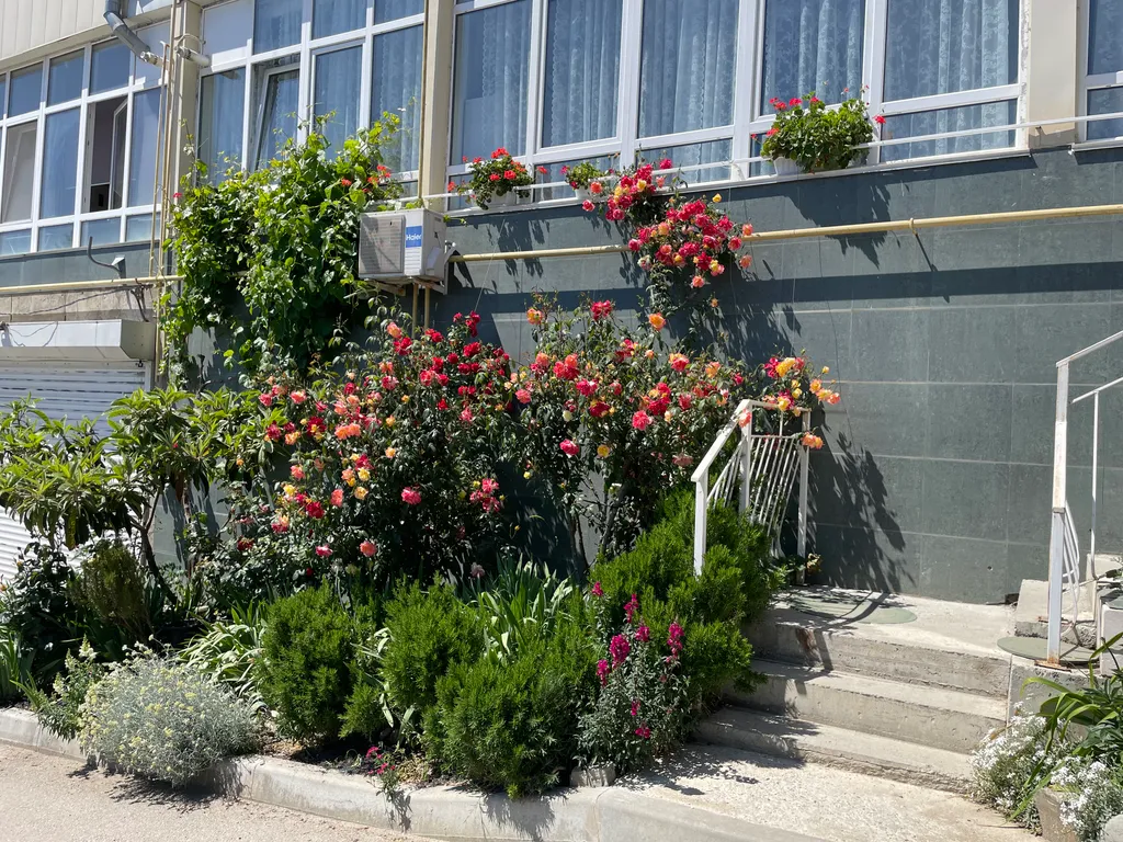 Можжевеловая роща