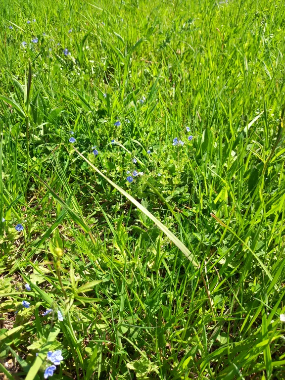 Уютный домик посуточно в тихом месте на Рыбинке