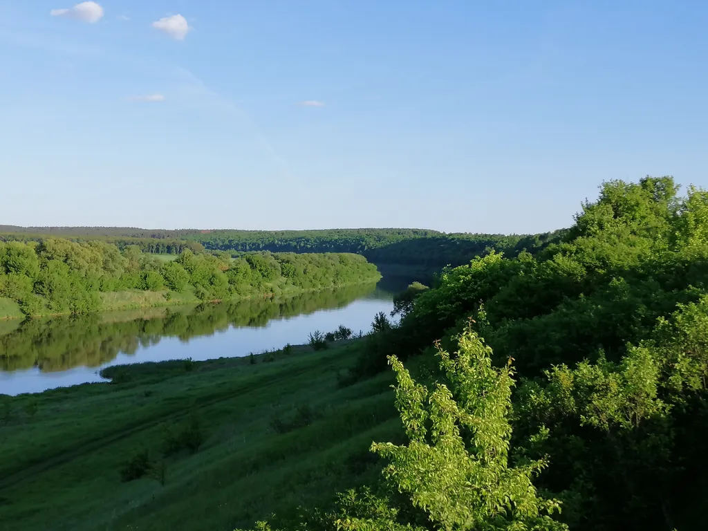 Дом в деревне на Дону в сосновом лесу