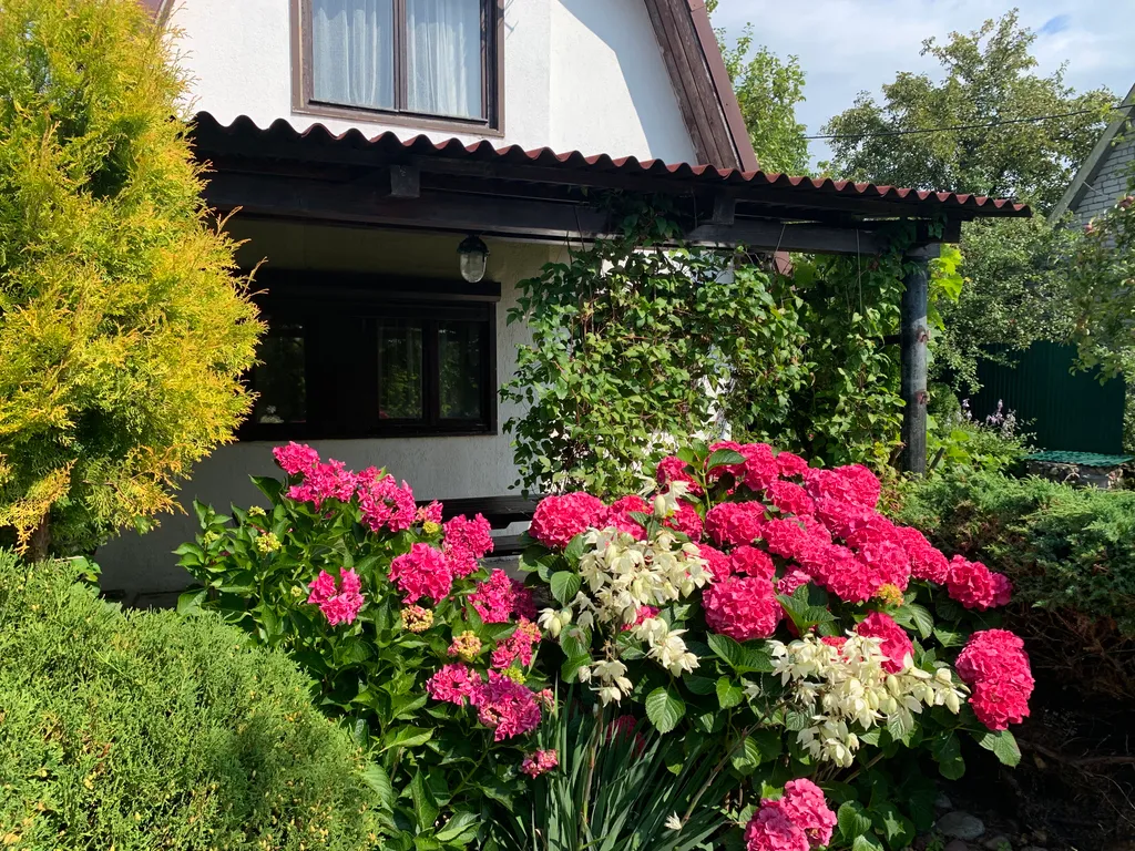 Дача у моря в Сокольниках