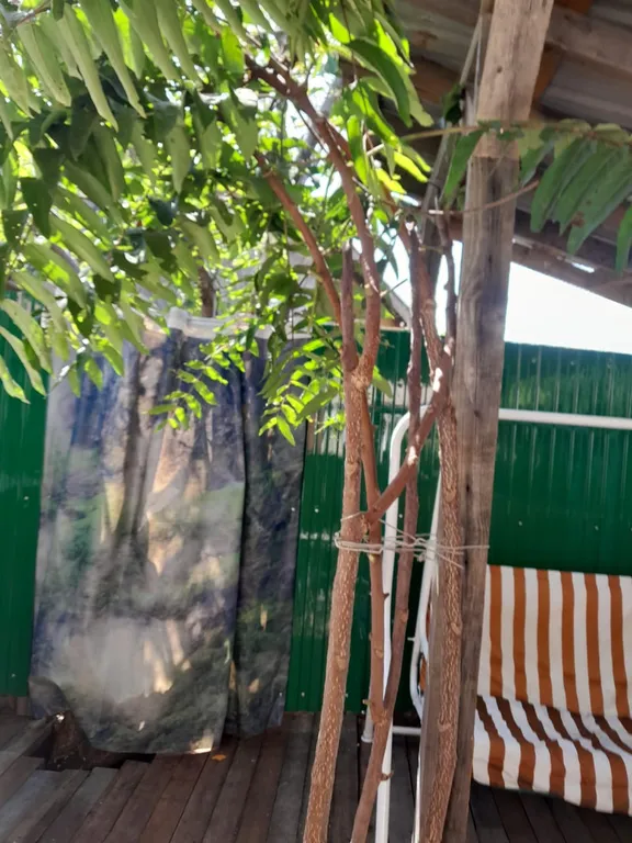 Квартира с беседкой  в центре