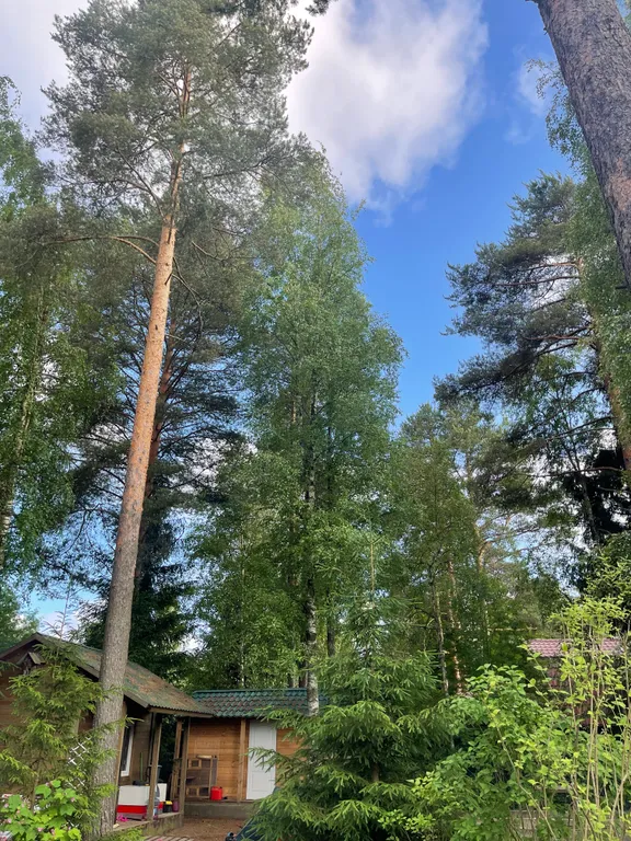 Уютный дом с баней и горячей купелью