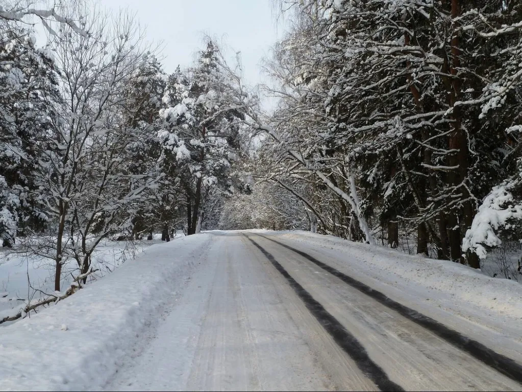 Коттедж Коттедж с баней с видом на лес — Никоновское