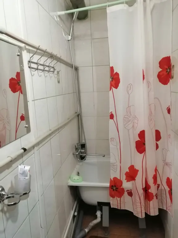 1-комнатная квартира со всем необходимым