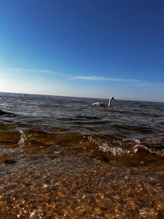 Квартира Квартира Будь как море — Зеленоградск