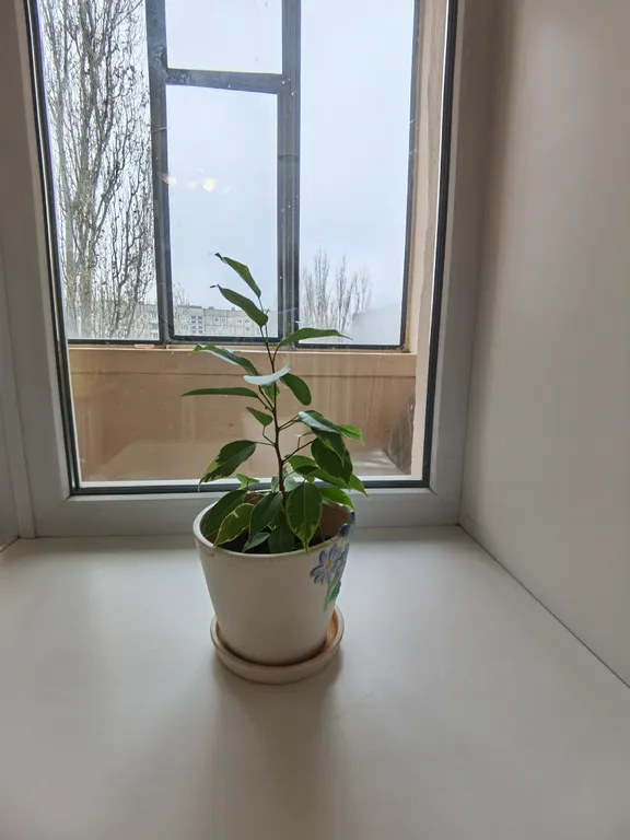 Уютная квартира возле автовокзала