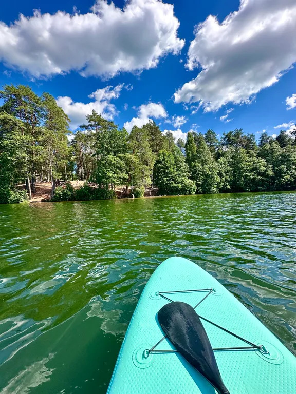 Коттедж Уютный домик в сосновом лесу — Кириши