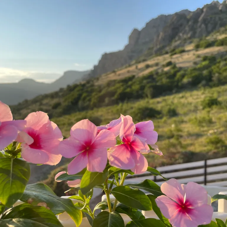 Коттедж Домик в горах Cherrychillvillage — Лучистое