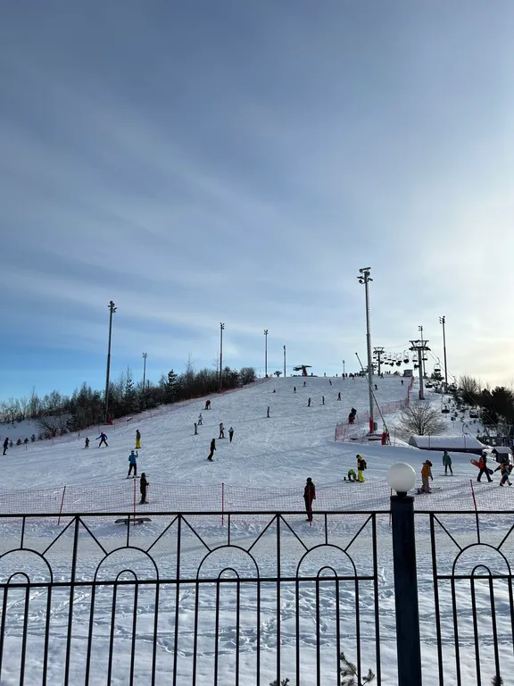 Коттедж с сауной в Сорочанах