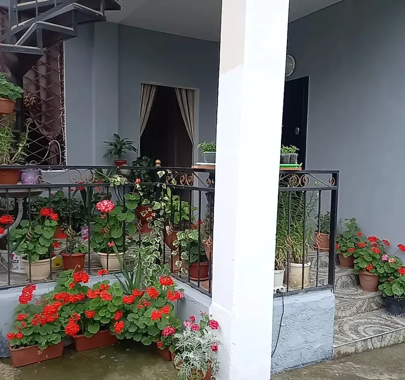 Квартира Комната — Гагра