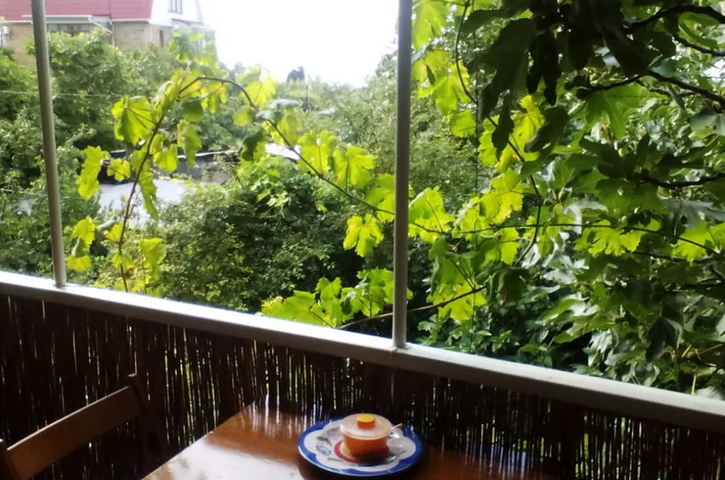 Домик на двоих с террасой