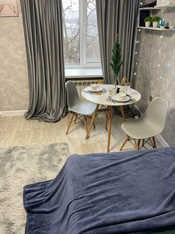 Студия с видом на реку и город в 5 минутах от центра города