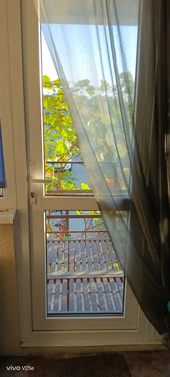 1-комнатная квартира с видом на море и пицундские сосны райский уголок