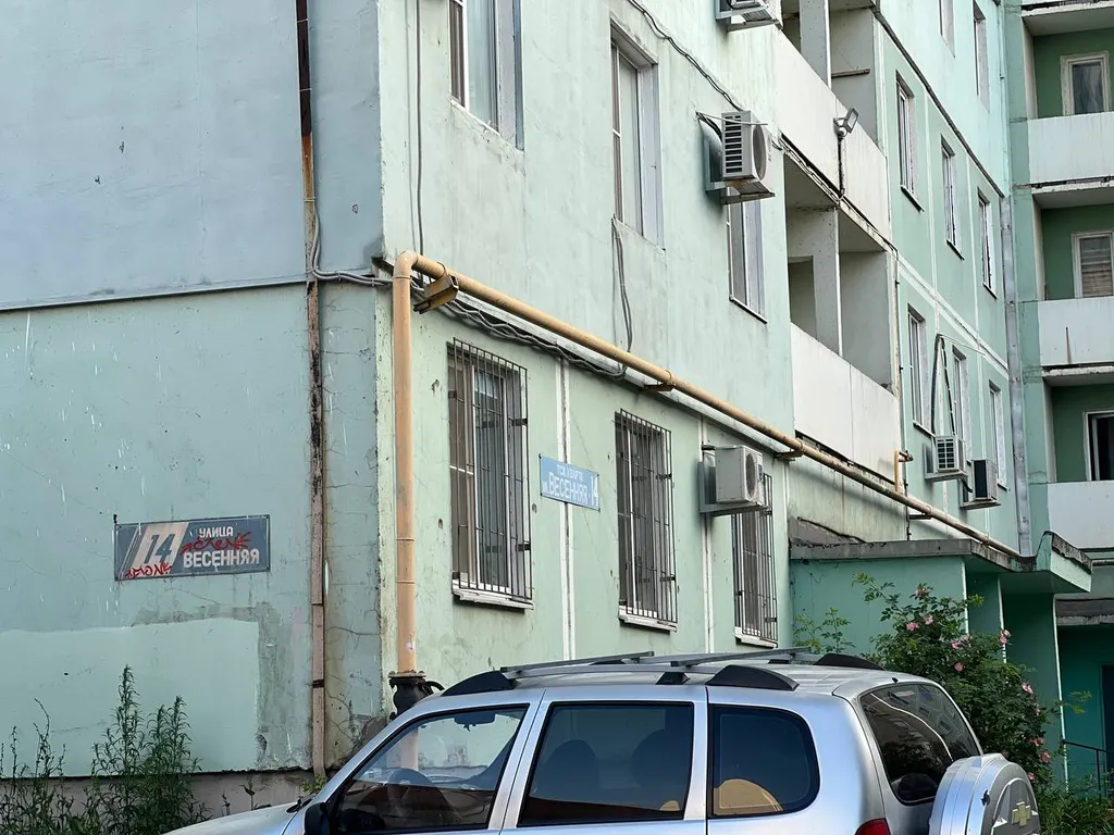 Grеen wood возле залива