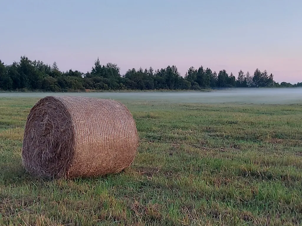 Коттедж Дом с видом на реку — Нурмойла
