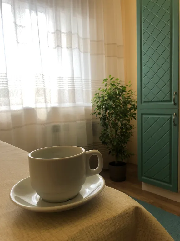 Квартира Уютная и чистенькая квартира — Красноярск