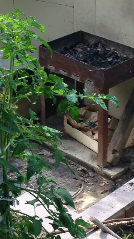 Студия в частном секторе рядом с морем