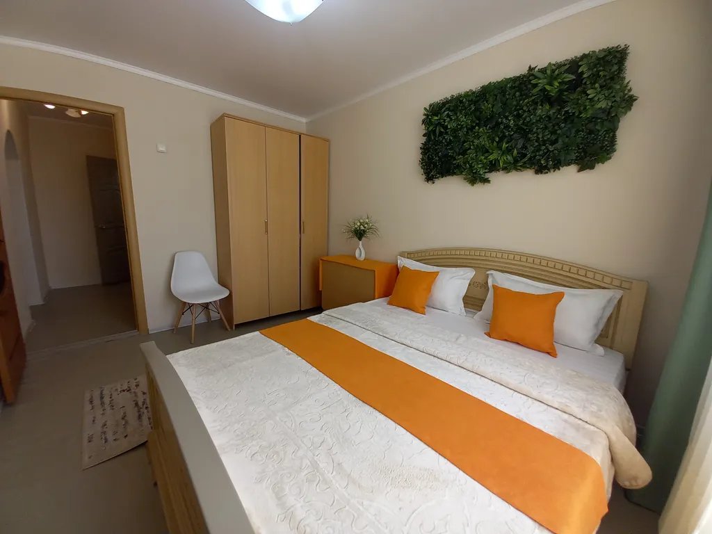 Солнечная орбита