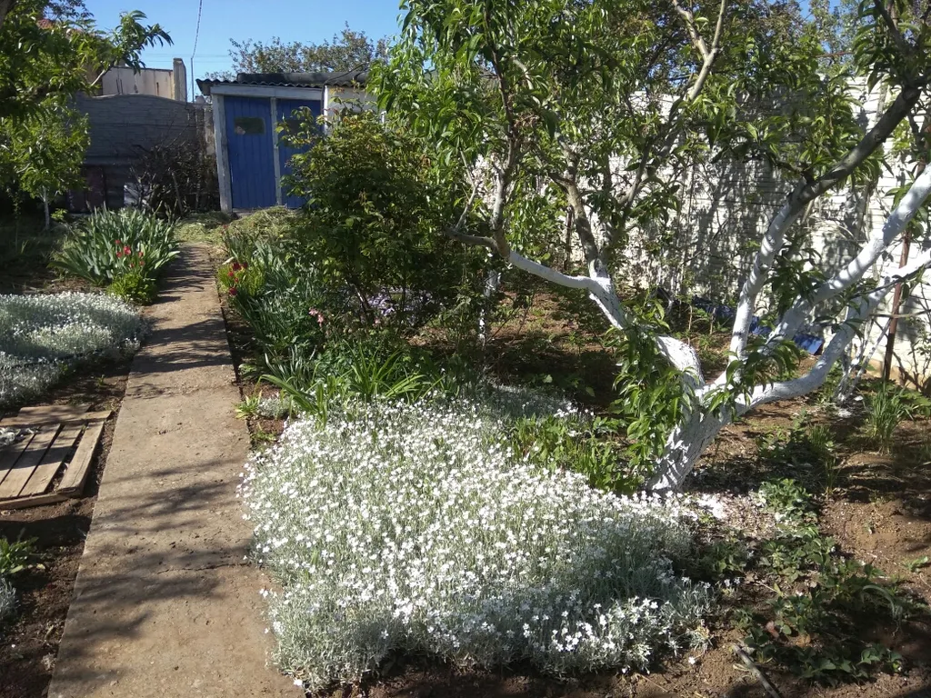 2-комнатный Дом