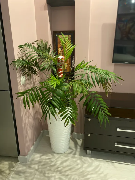 Студия на берегу Волги