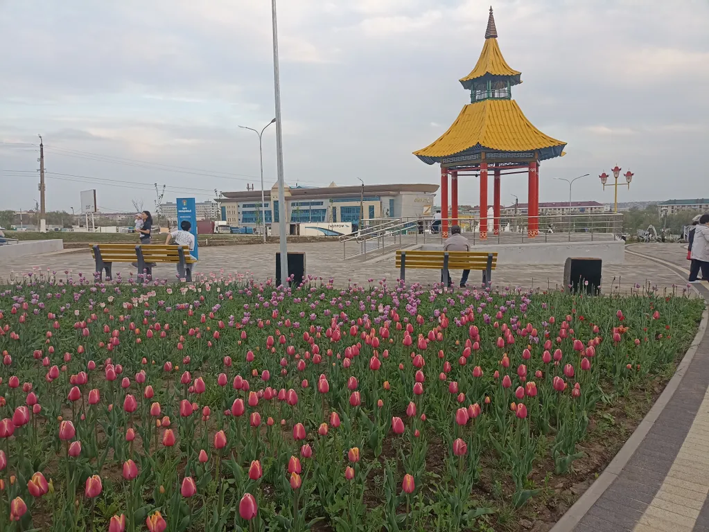 Квартира Уютная, чистая квартира возле парка и спортивных комплексов — Элиста