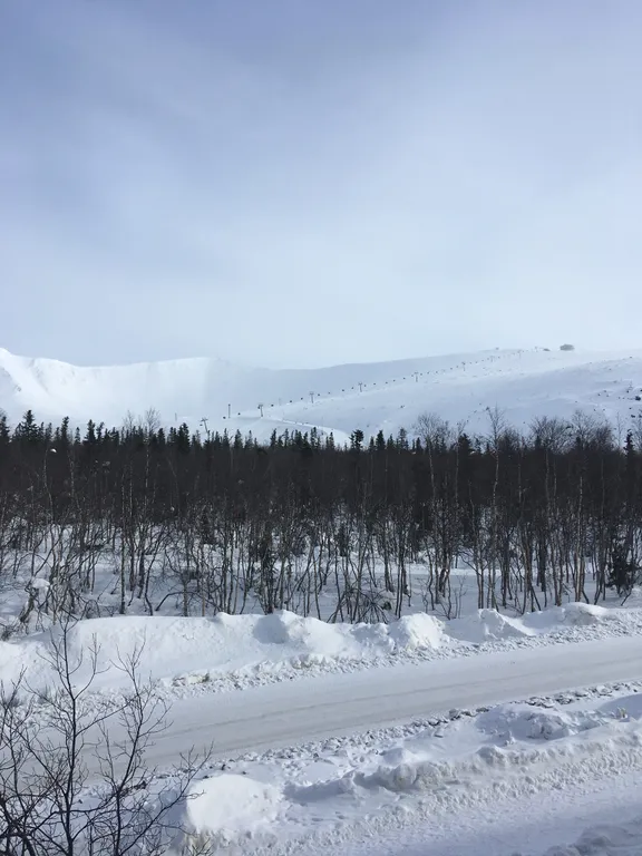 Уютная квартира Хибинская акварель с видом на Хибины