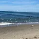 Ольга