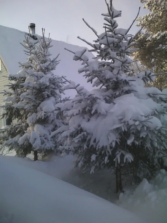 Малый коттедж на берегу озера