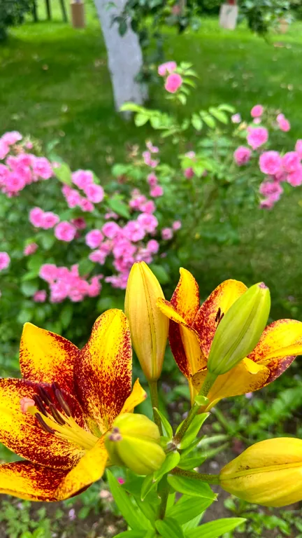 Коттедж Коттедж Курортное шале в писательском Переделкино — Москва