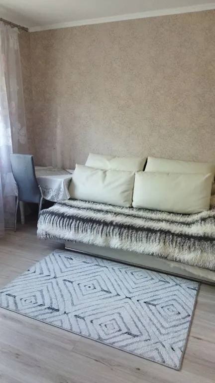 Уютная квартира в центре города ( проживание с хозяйкой)