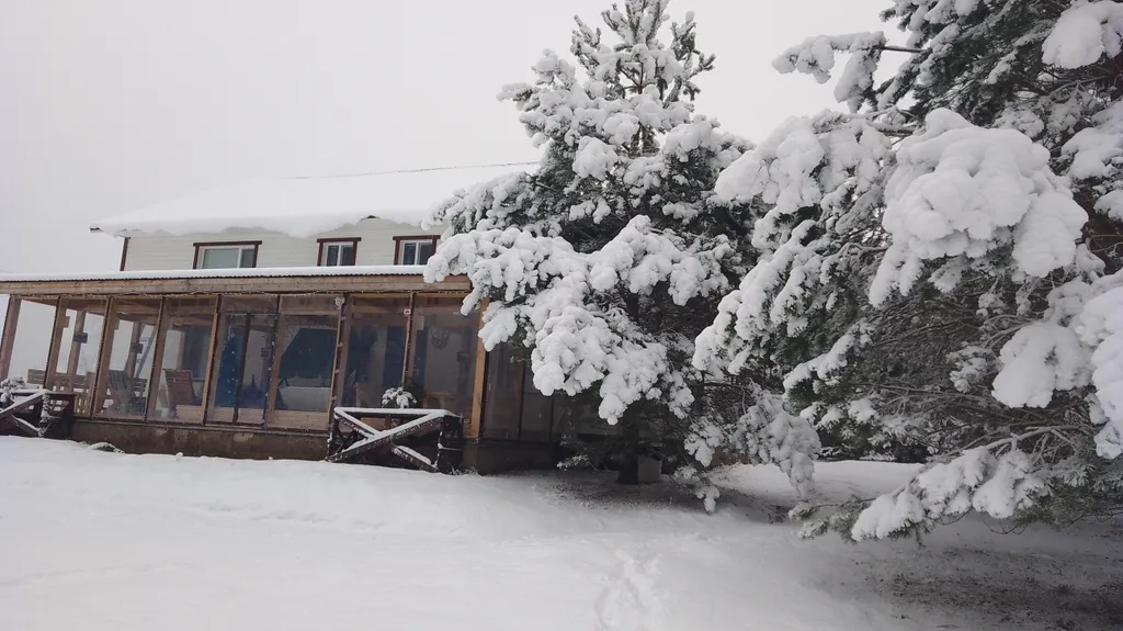 Коттедж Уютный Таунхаус Хитрый лис — аренда посуточно в Печоры