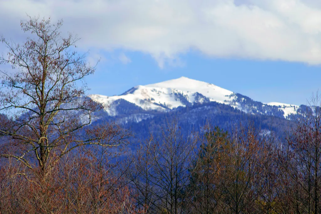 Горный шепот Дом №1