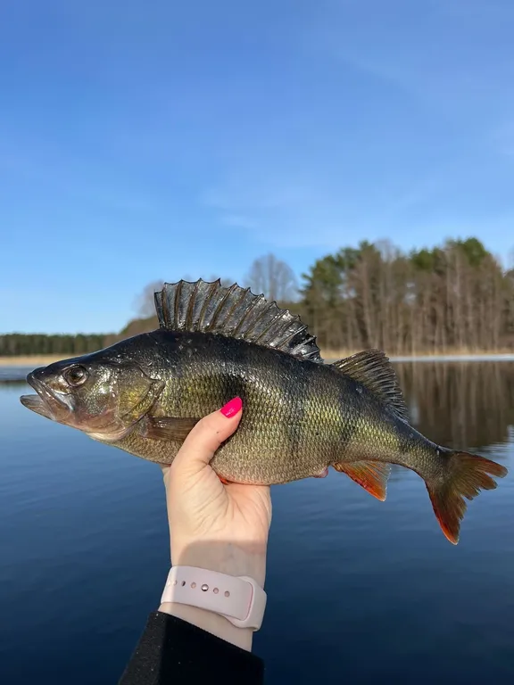Коттедж Гостевой дом Березово 17 — Березово