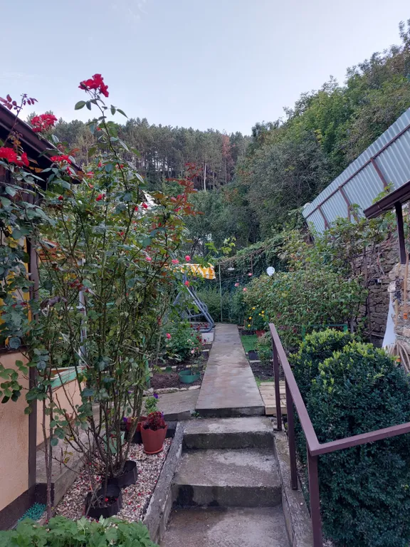 Коттедж Комфортный дом с беседкой — Кисловодск