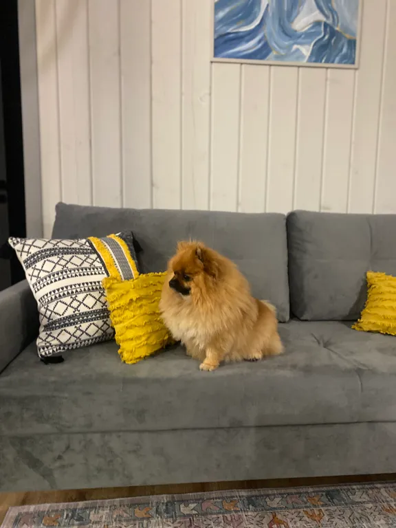 Коттедж Уютный коттедж с сауной и купелью — Бугры