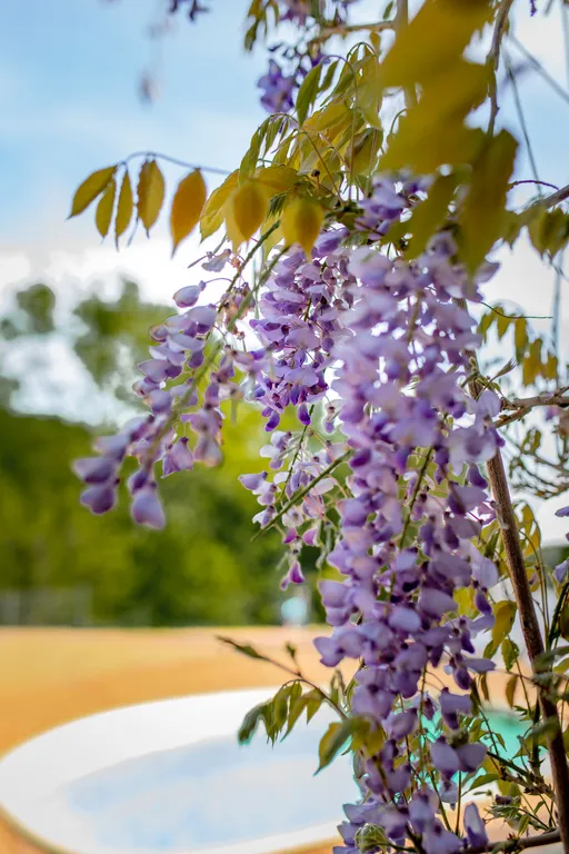 Шале Восточное