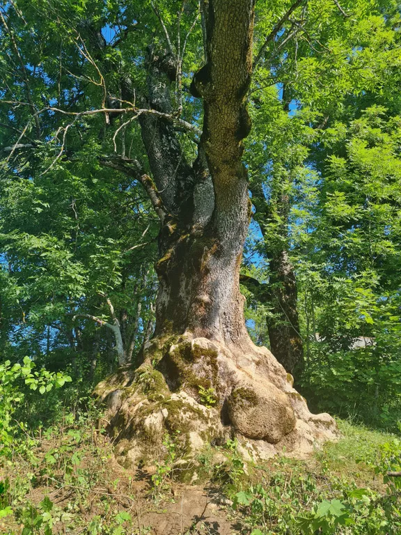 Загородная усадьба