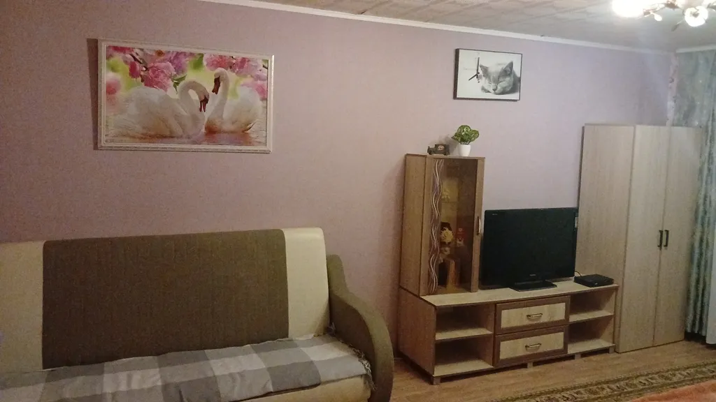 Уютная однокомнатная квартира