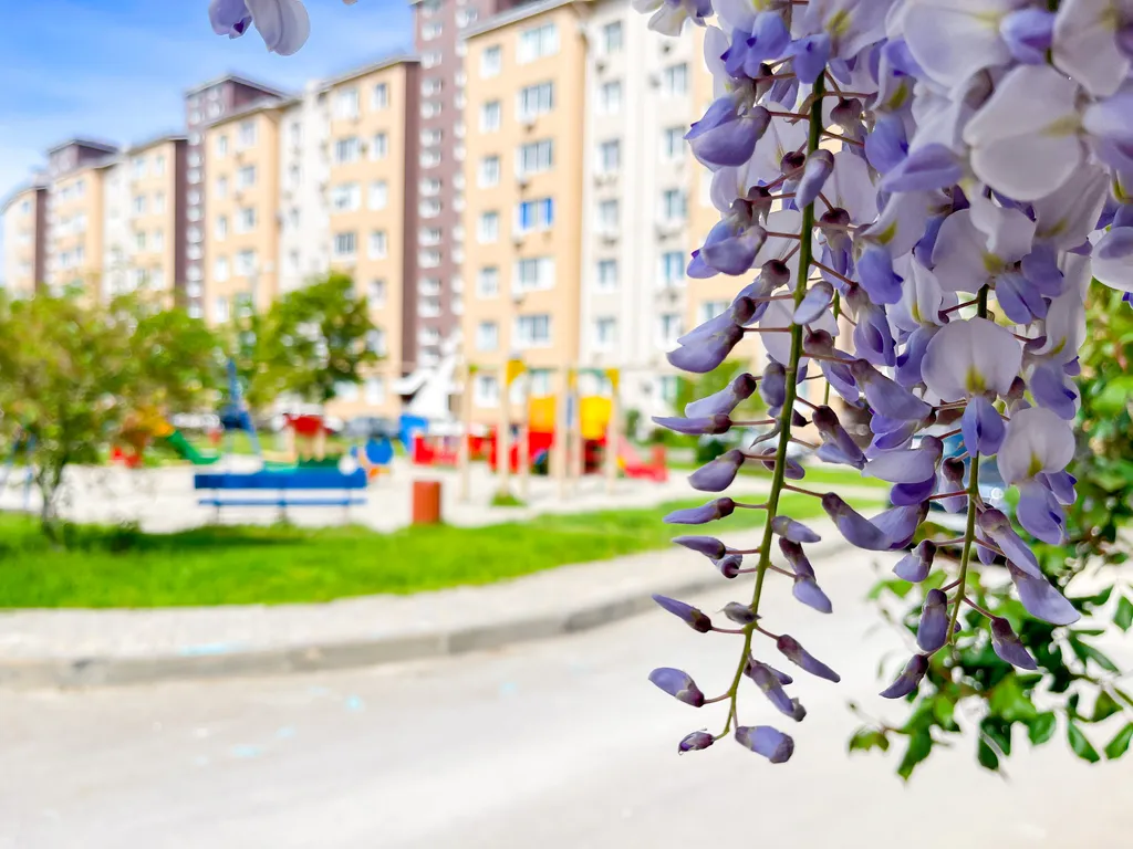 Квартира Квартира на первой береговой линии — Анапа