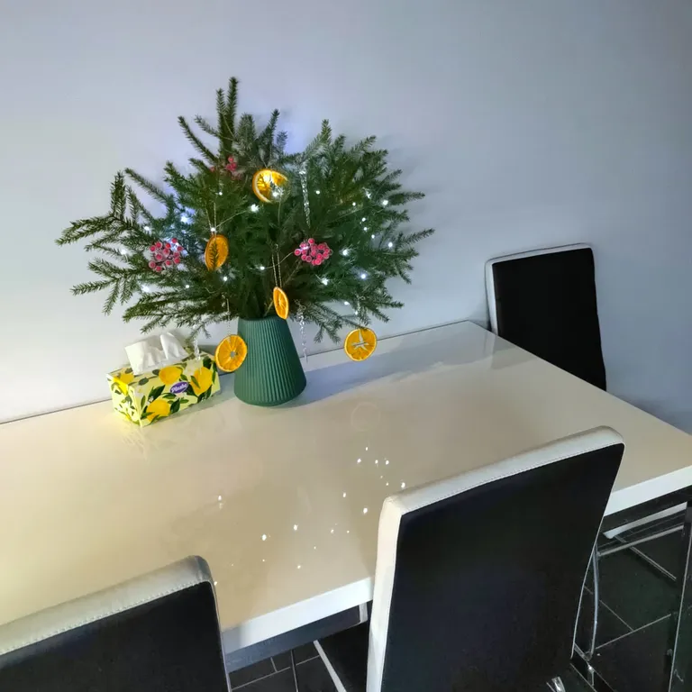 Шикарная, просторная квартира