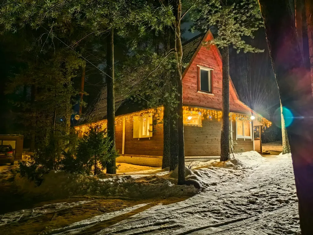 Коттедж Дом у озера с баней, чаном и детской площадкой с батутом. — Ланино