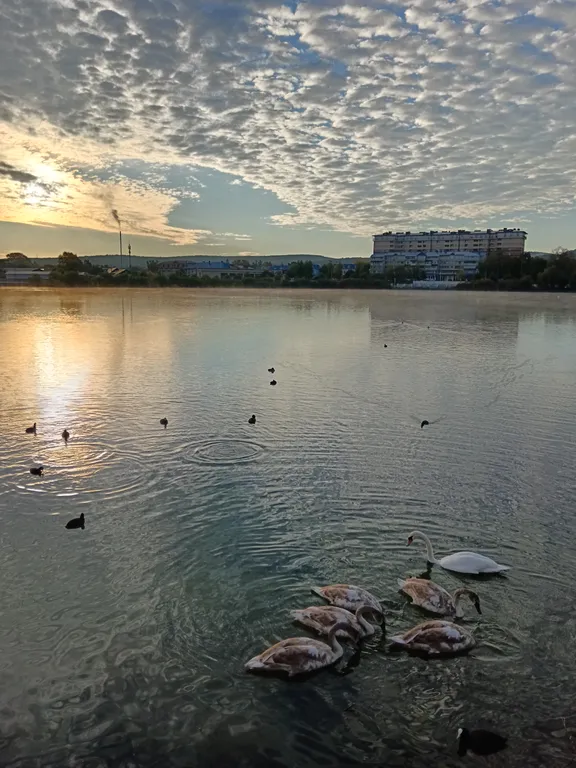 Квартира Квартира с видом на Лебединое озеро в парковой зоне — Горячий Ключ