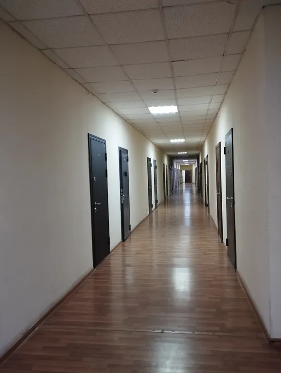 Студия возле цирка и дендрария
