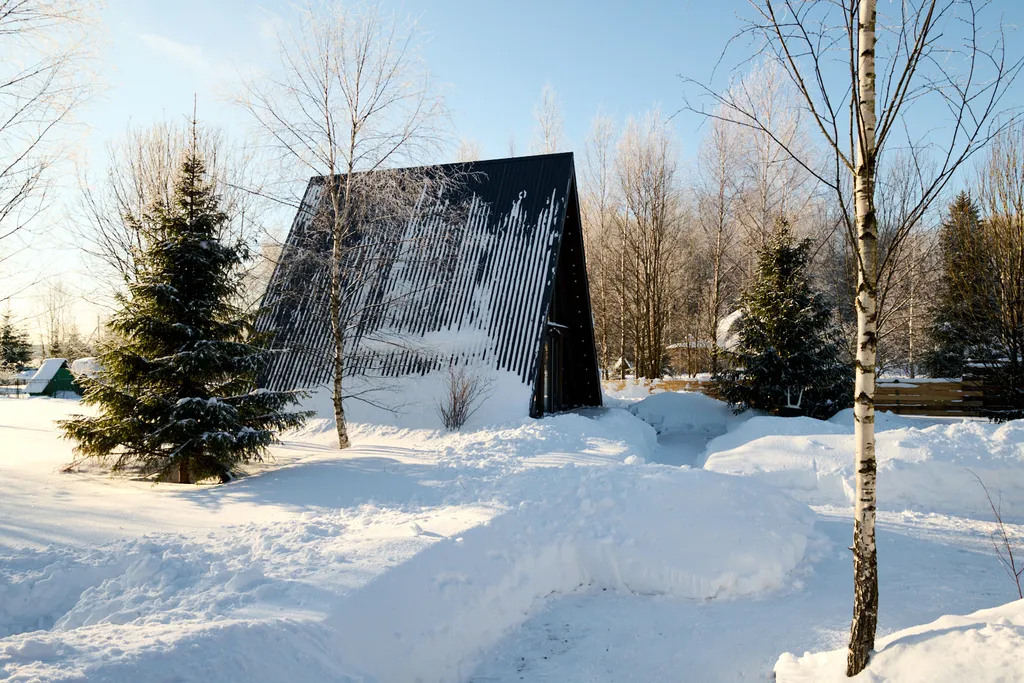 Афрейм дача у леса