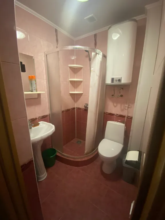 Однокомнатная квартира на первом этаже #2