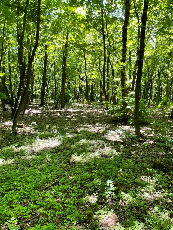 Уютный двухкомнатный рядом с красивой природой для отдыха от суеты