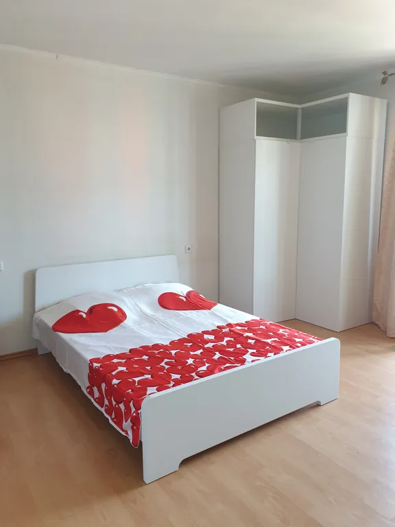 Квартира Квартира Просторная и красивая студия — Пушкин