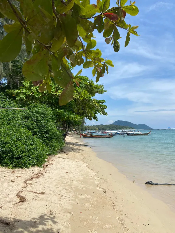 Title V Sunny Nest Rawai beach