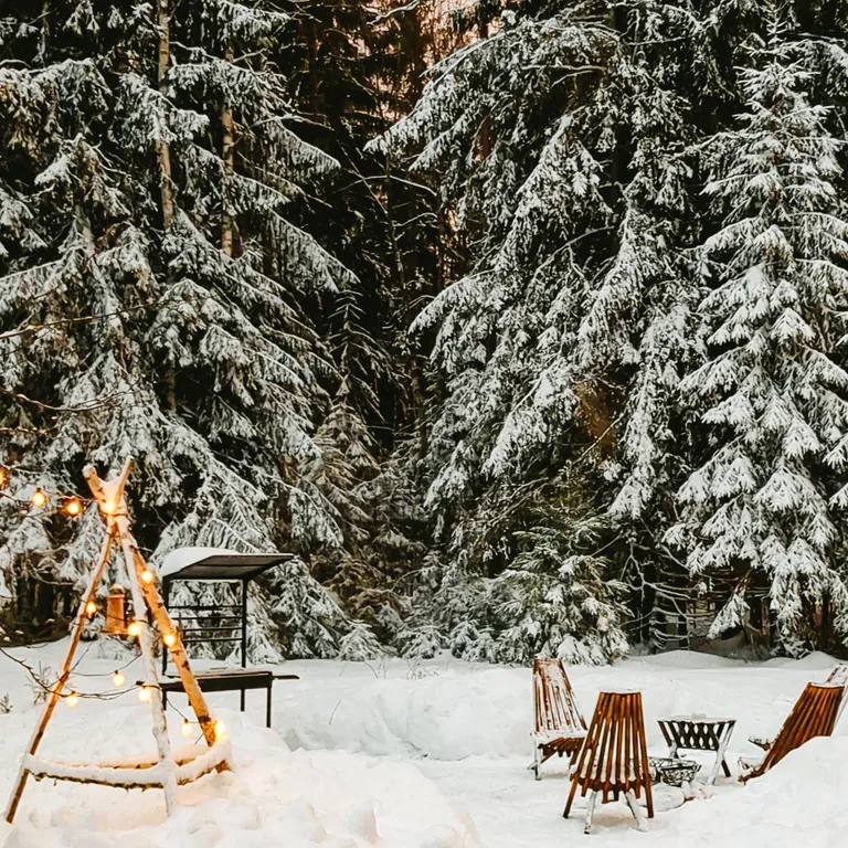 Уютный дом в лесу